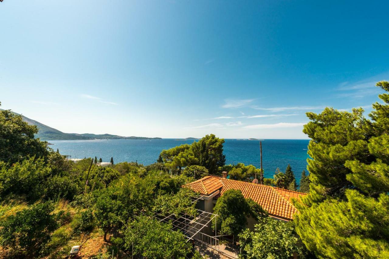 Luxury Apartment Bobara Mlini Exterior foto